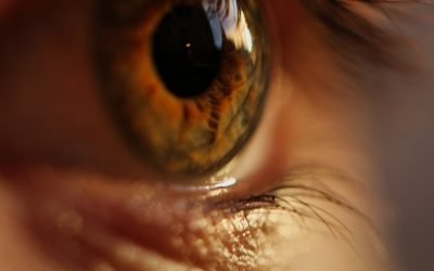 Customize False Eyelashes for Their Purpose