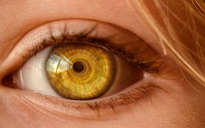 What causes eyelashes to fall out