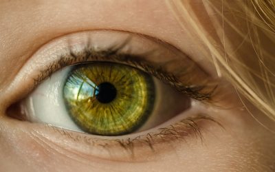 Read This Before Using False Eyelashes